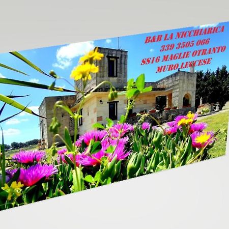 B&B La Nicchiarica Muro Leccese Exterior foto